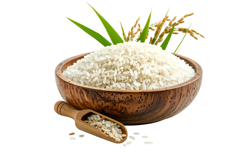 Rice Bowl