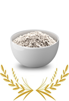 Rice Protein Food Grade