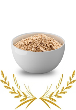 Rice Protein Feed Grade