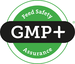 GMP