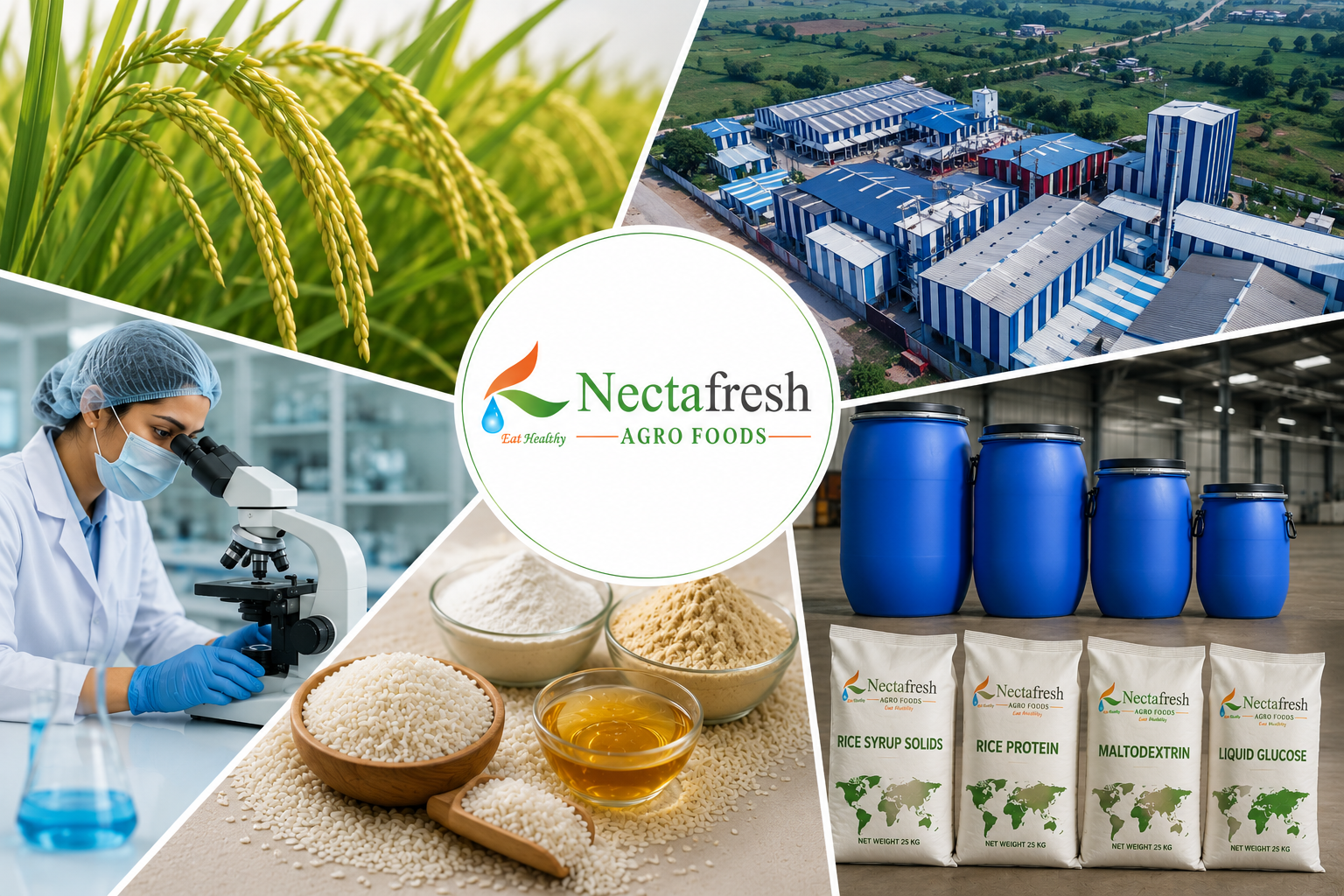 Nectafresh Agro Foods